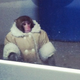 Illustration for article titled Coat-Wearing Monkey Gets Loose in an Ikea Parking Lot, Just Wants Some Damn Meatballs
